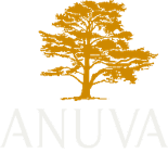 Anuva Investments